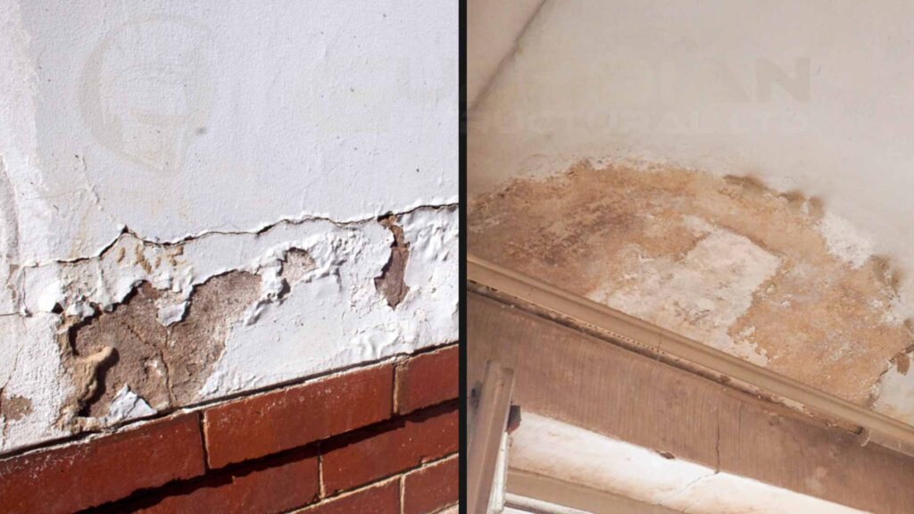 an image showing the damp in the wall which could be a big issue going forward, contact Guardian Structural Ltd for the expert advise and solution